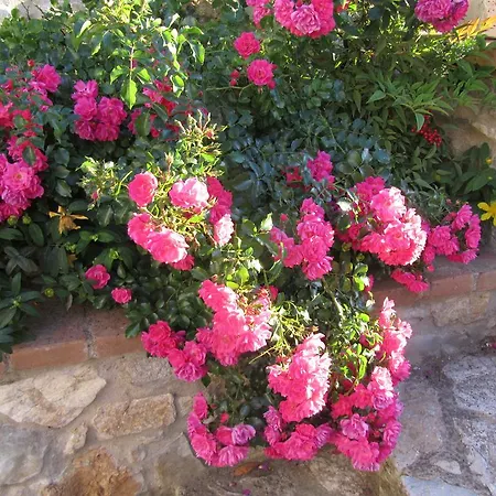 Lantgård Borghetto Il Montino *