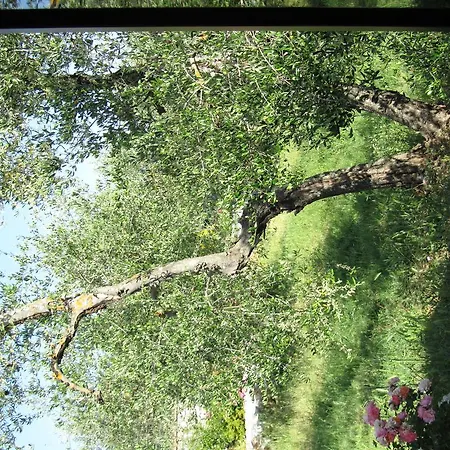 Lantgård Borghetto Il Montino Rapolano Terme