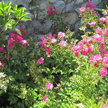Lantgård Borghetto Il Montino *