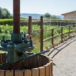 Bauernhof Borghetto Il Montino