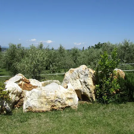 Borghetto Il Montino Farm stay *