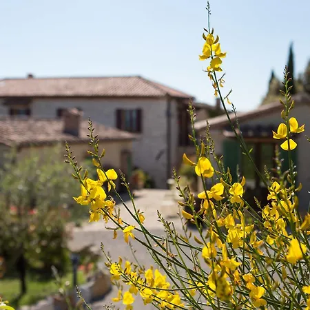 Lantgård Borghetto Il Montino Rapolano Terme